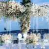 Houppa transparente – Image 2